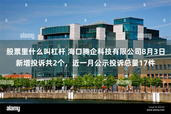 股票里什么叫杠杆 海口腾企科技有限公司8月3日新增投诉共2个，近一月公示投诉总量17件