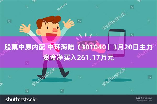 股票中原内配 中环海陆（301040）3月20日主力资金净买入261.17万元